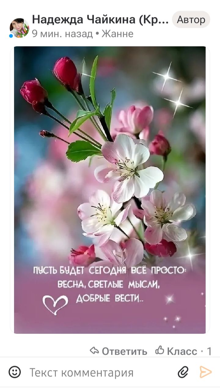 video_14132954947453