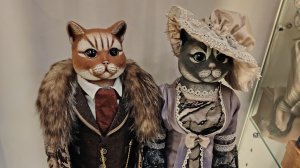 Мурариум - музей кошек, г. Зеленоградск. На высоте 24 метра над землёй.