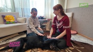 Как побороть кинофобию и откуда берётся страх перед четвероногими? Программа «Хочу собаку».