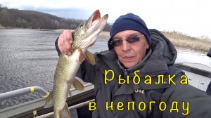 Рыбалка перед ЗАПРЕТОМ. Экспериментирую с размером приманок.