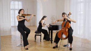 Ludovico Einaudi - Experience - USTNA TRIO