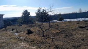 Планы на жизнь