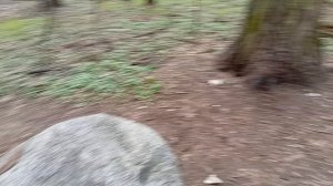 Владимирский тракт. Природно-исторический парк «Измайлово».