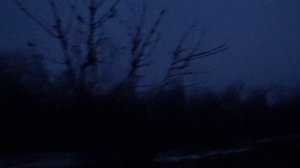 Удачная тяга 02.04.2026 г.