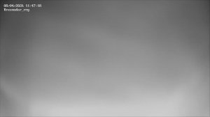 ТВОИ ПЧЁЛЫ - жизнь пчёл в прямом эфире