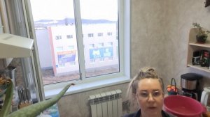 Ради чистых окон я жизнью рисковать не хочу