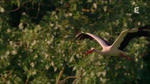 тест категории