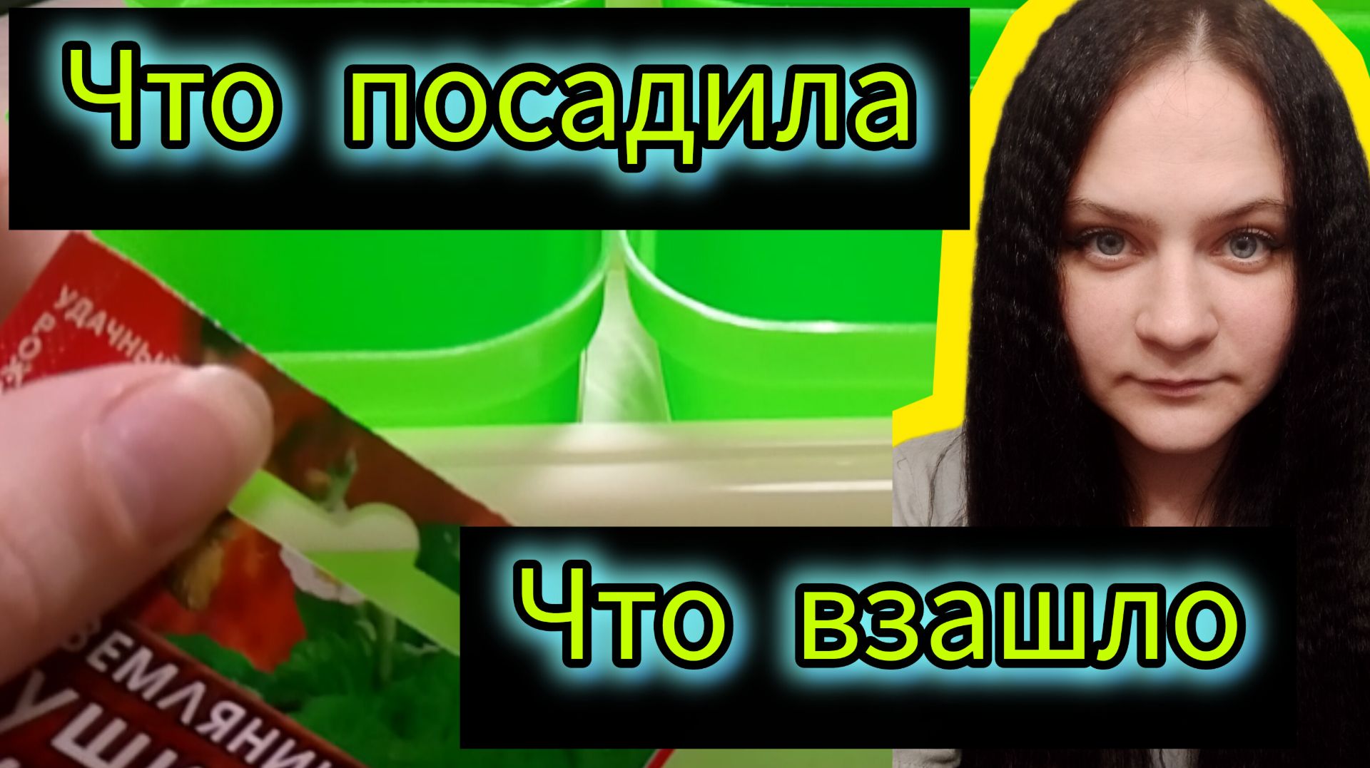 Рассада моя