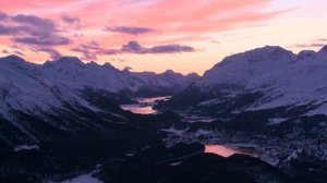 Вот и померла моя старая Жасминка