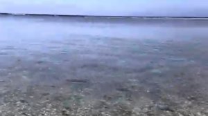Пространство  Семейного  Отдыха