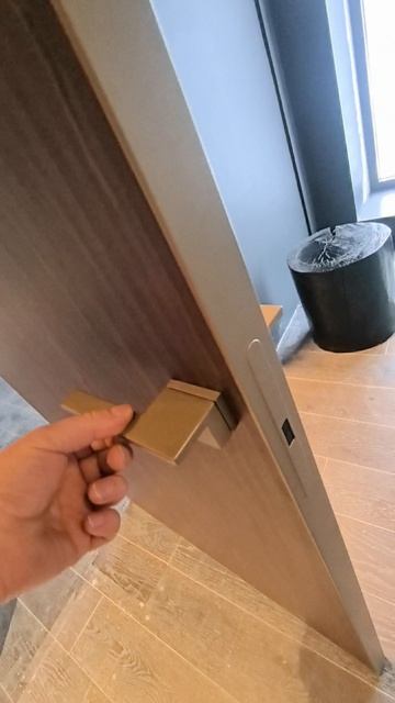 Входная группа 3 элемента: Шпонированная дверь + 2 стеклянные перегородки | Шпон, магнитный замок