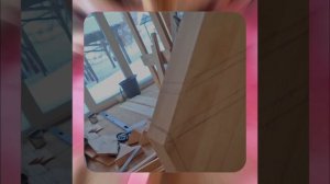 1000055450.mp4 (Собака наблюдает за устройством лестницы на 2-ой этаж в доме А-фрейм)