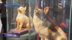 Лекции, экскурсии и встречи с космонавтами: в Москве проходит Неделя космоса