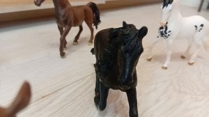 Лошади Шляйх играют в правда или действие 🥰🥰🥰😀😀😀