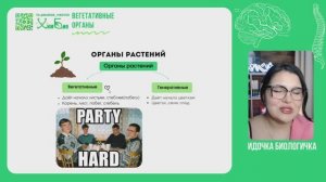 Вегетативные органы растений