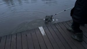 Утро.Основной водоём