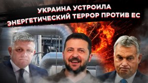 Европа в тревоге: Украина стала угрозой для западных соседей