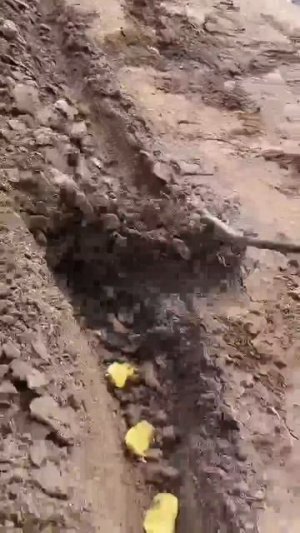 Самое полезное приспособление для дачи! Лучше и не найти!