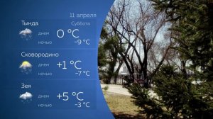 Прогноз погоды на 11.04.2026