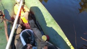 НАШЁЛ ИЗБУШКУ В ЧАЩЕ ЛЕСА...