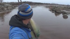 РЫЖИЙ ЛЁХА НАПРОСИЛСЯ ВО ВТОРОЙ РЫБНЫЙ МОРСКОЙ МАГАЗИН ИЗ КОЛЬЕВ ПОД СКАЛОЙ!СКОЛЬКО ДАСТ ОН РЫБЫ?