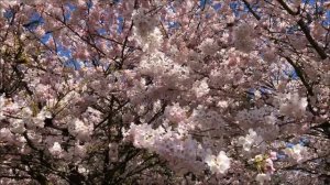 Загадайте желание на яйцо в эту Пасху. Вы не поверите,  как быстро сбудется.