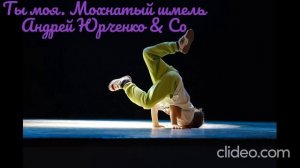 Ты моя. Мохнатый шмель. Андрей Юрченко