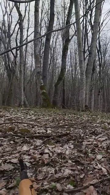 «Выходите! Выходите! Сейчас же!»