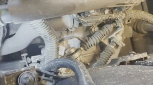 TENET T4 #техобзор | Простой MPi и нет турбины, подвеска, двигатель, доступность ТО. Она ли TIGGO 4