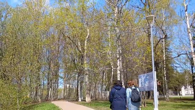 Солнцево, пруд,апрель