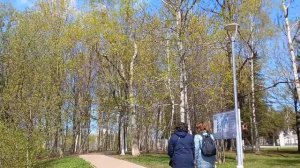 Солнцево, пруд,апрель