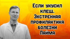 Что делать, если укусил клещ