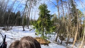 Яхрома Радонеж ПВД лыжи март 2026