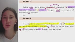 Задание 17 ЕГЭ. Обособленные члены предложения