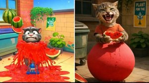 Разговор Том Кошка 2026 В Реальной Жизни