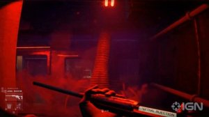 Zoochosis - Official Camel Reveal Trailer