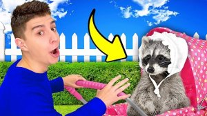 Влад а4 . Стали НЯНЯМИ для ЖИВОТНЫХ на 24 Часа ! Видео Влада Бумага а4