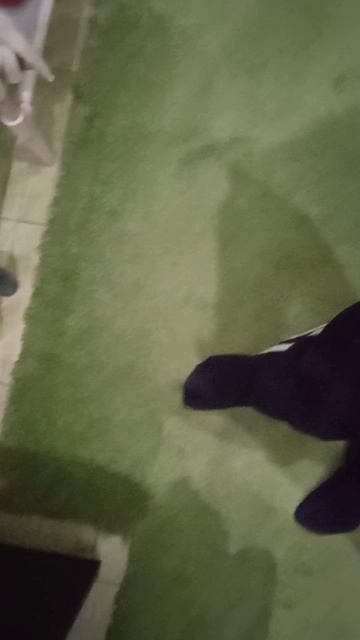 VID_20260408_203431.mp4