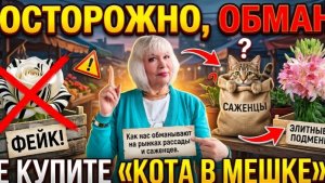 ❌ ОСТОРОЖНО, ОБМАН! Как нас обманывают на рынках рассады и саженцев. Не купите «кота в мешке»!