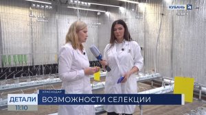 Марина Трунова: запрос на сорта семян с новыми характеристиками идет постоянно