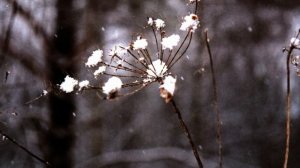 на Эльбрус детская песенка