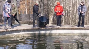 Кутузово. Обзор форелевого водоёма.