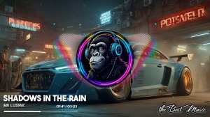 Shadows in the rain - Mr Luspak