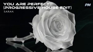 S.A.R.A.H. - You Are Perfect (Original Mix) ｜ Emotional Progressive Trance & Melodic Techno