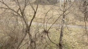 2ка  продажа Миасс Машгородок