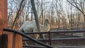 гСамара.Загородный парк Что там есть?