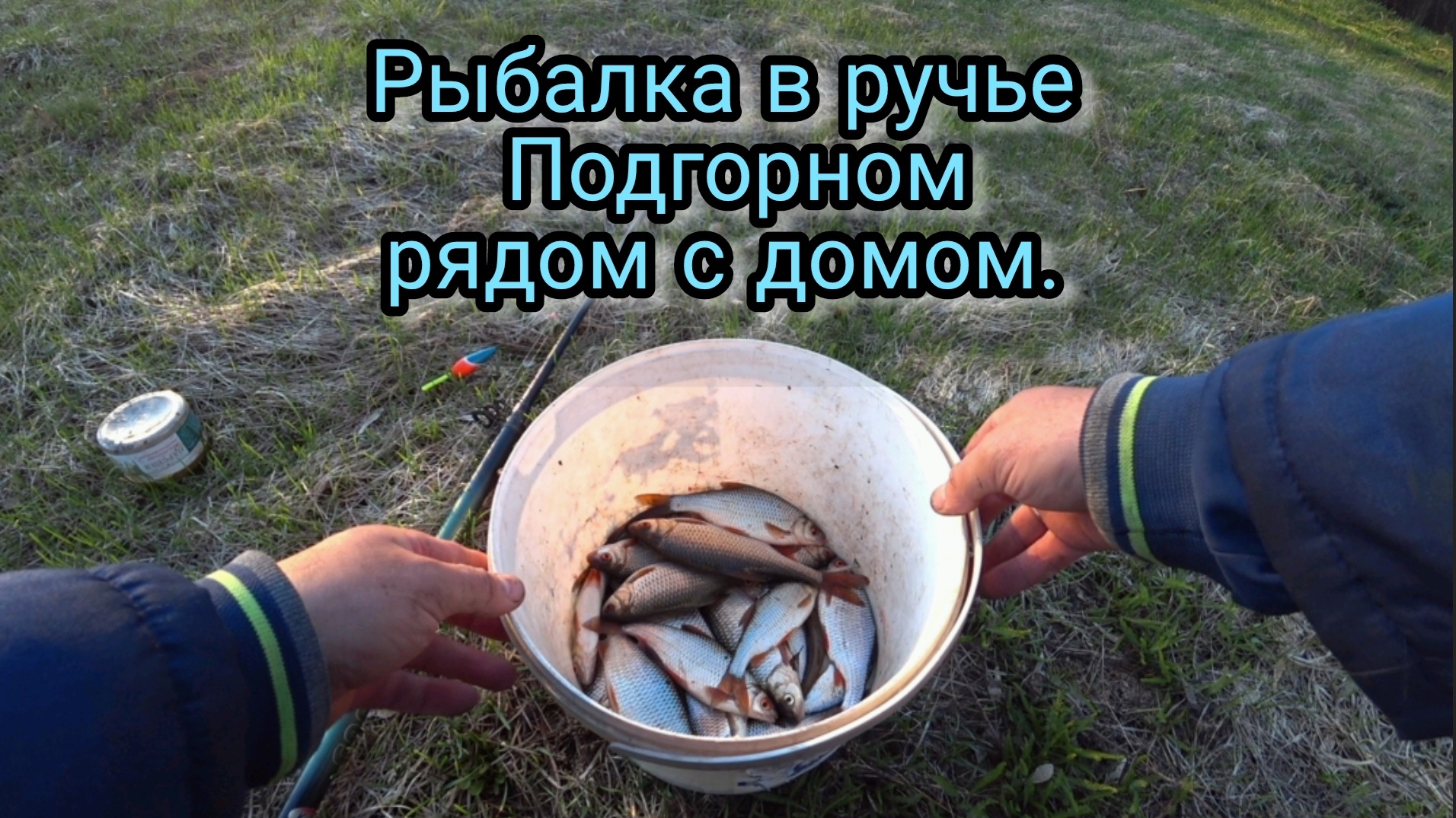 НАЛОВИЛ ПЛОТВУ У ДОМА