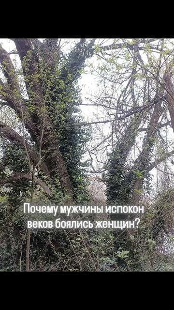 почему мужчины испокон веков боялись женщин⁉️
