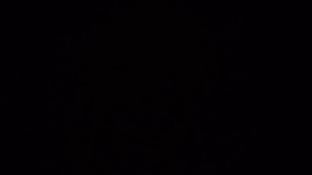 игрушки диностер