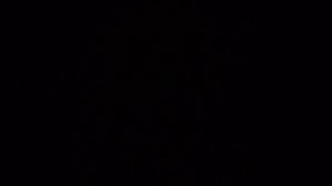 игрушки диностер